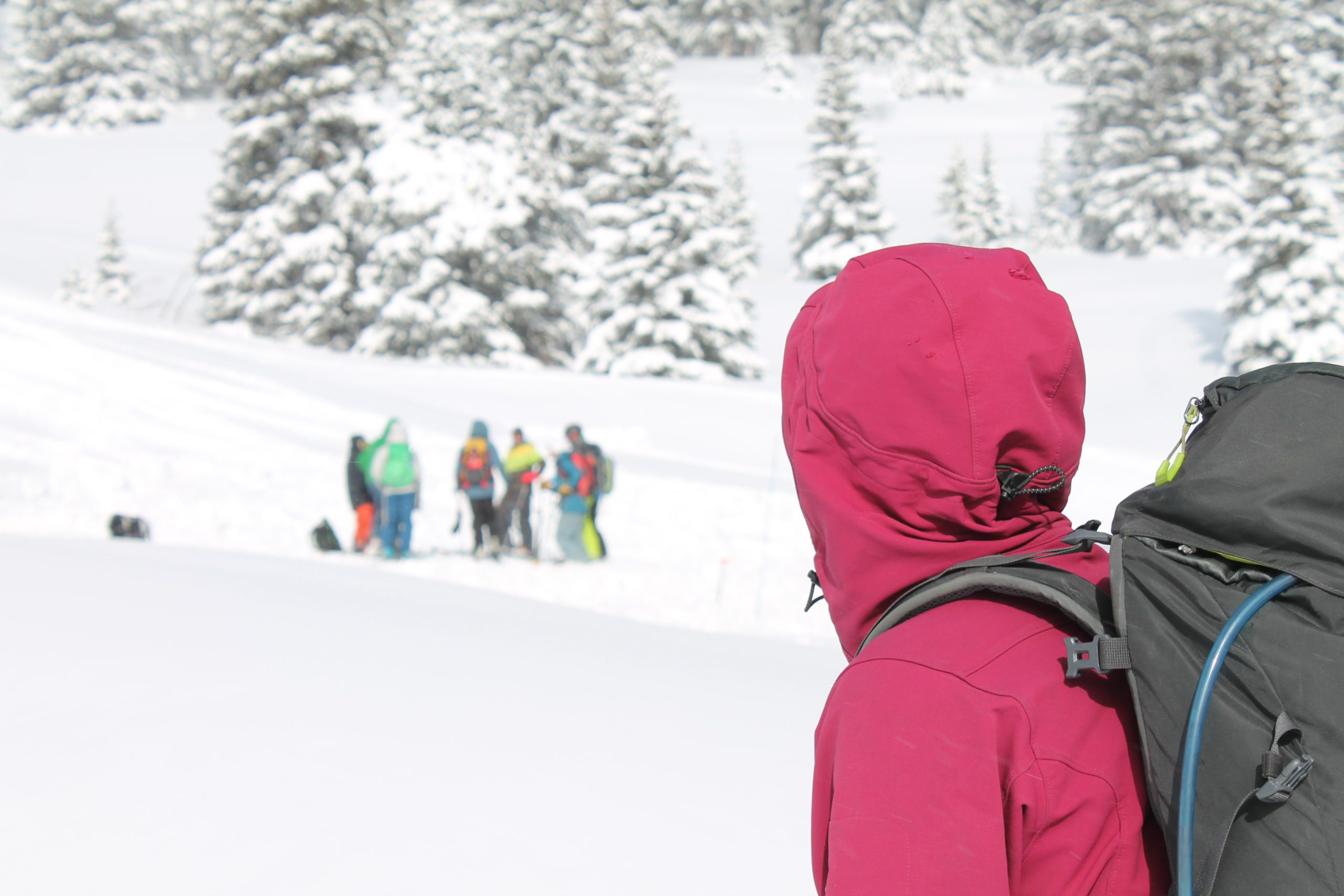 Avalanche Rescue Course