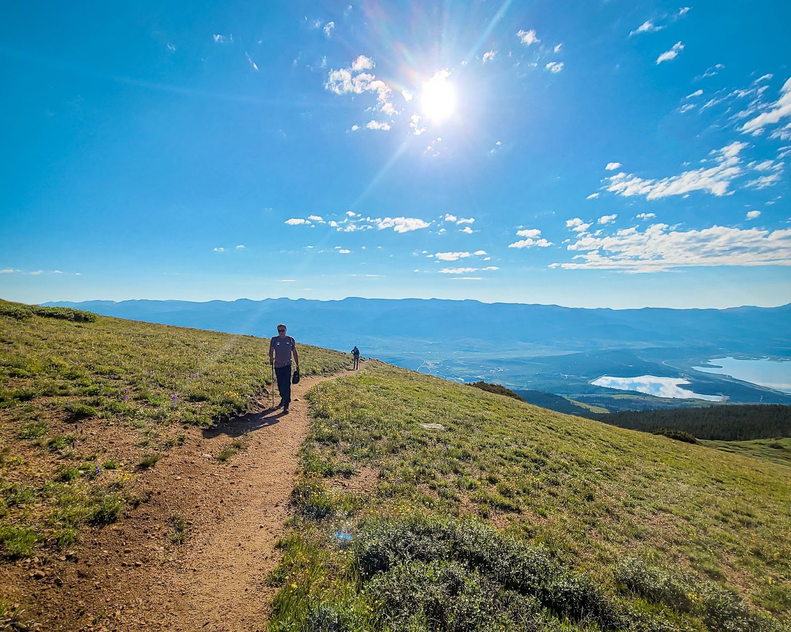 Leaving the Treeline