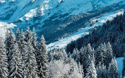 It’s snowing in Vail!