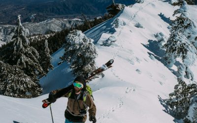 Winter 2011 Courses