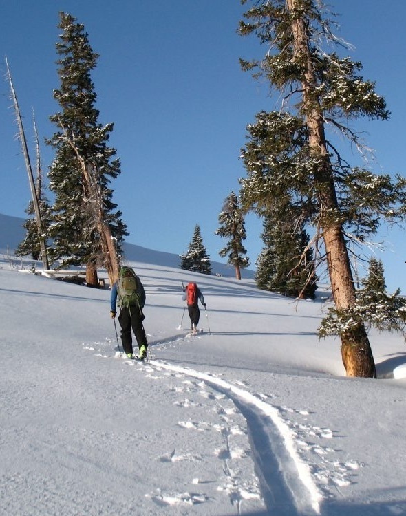 Avalanche Education