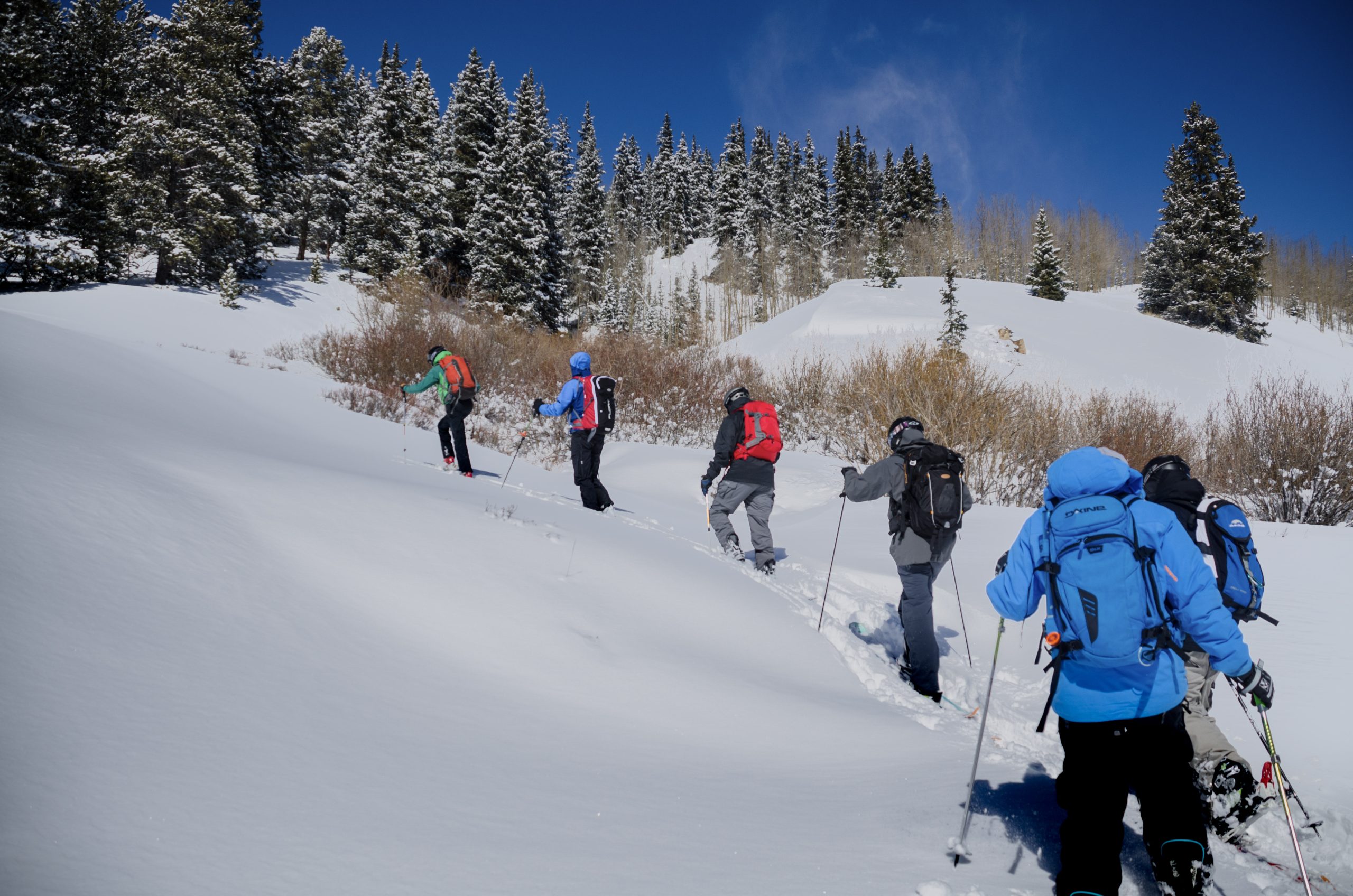 Backcountry Skiers in an open enrollment AIARE Level 1 Rescue Combo Course